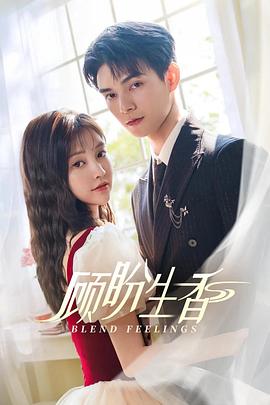 顾盼生香 第04集